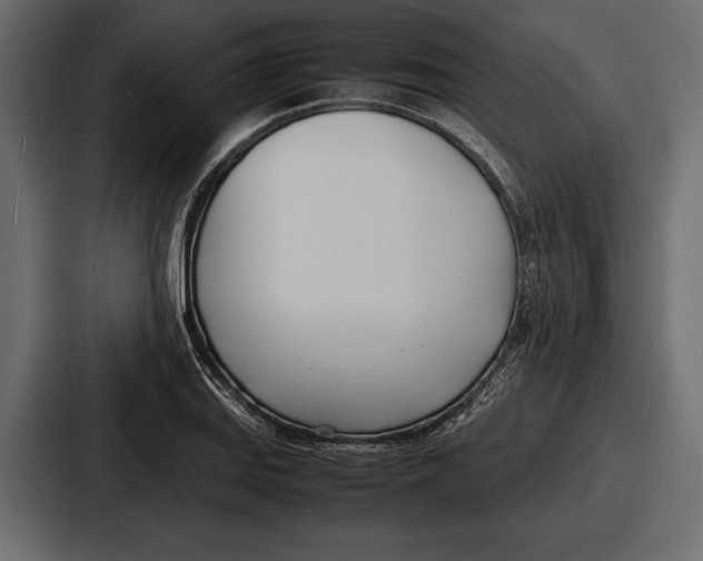 X0000086721127200705111549