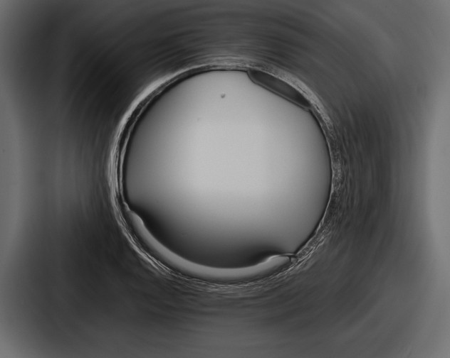 X0000086721128200705111549