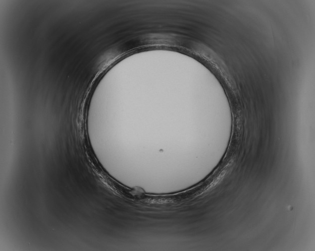 X0000086721129200705111549