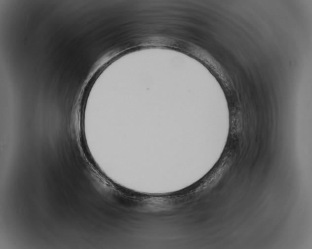 X0000086721130200705111550