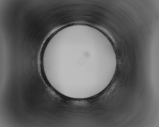 X0000086721133200705111550