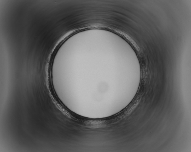 X0000086721134200705111550