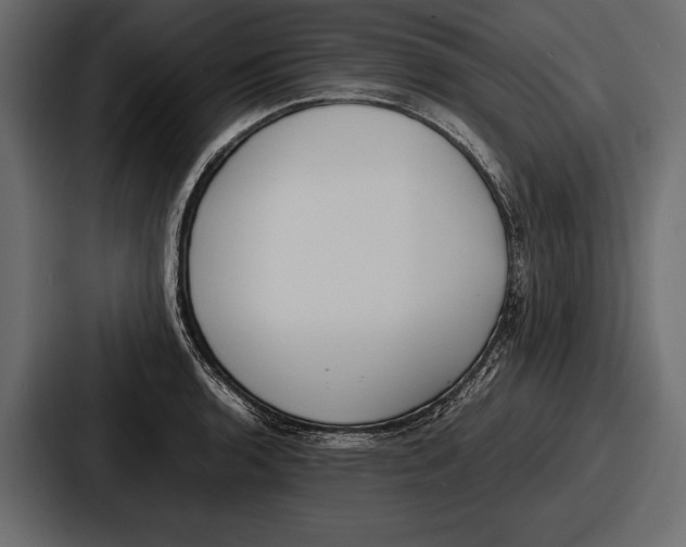 X0000086721136200705111550