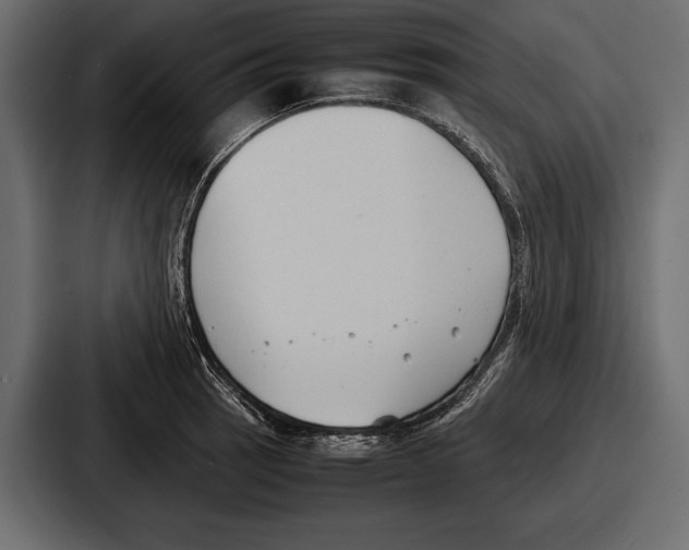 X0000086721137200705111550