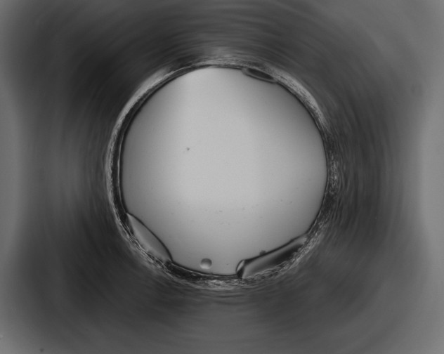 X0000086721138200705111550