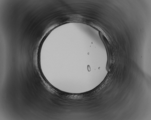 X0000086721139200705111550