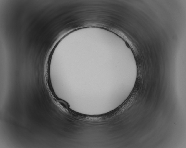 X0000086721140200705111550