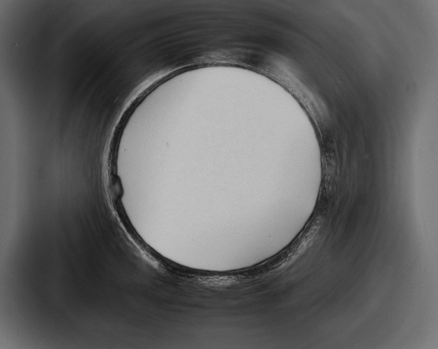 X0000086721141200705111550