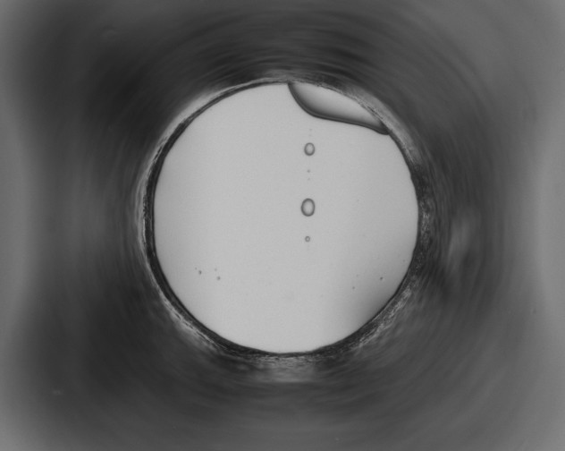 X0000086721143200705111550