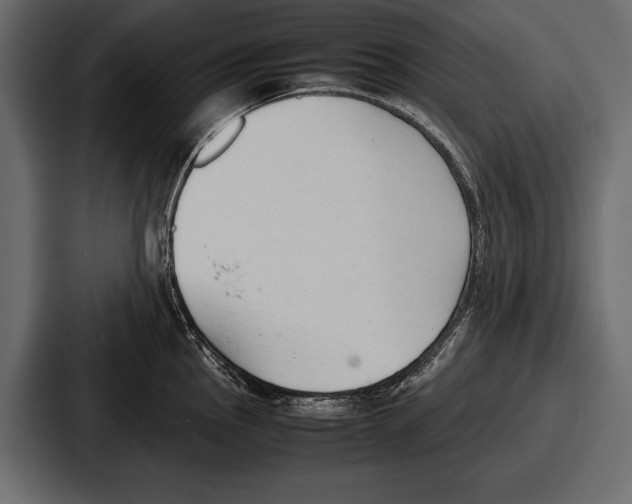 X0000086721145200705111550