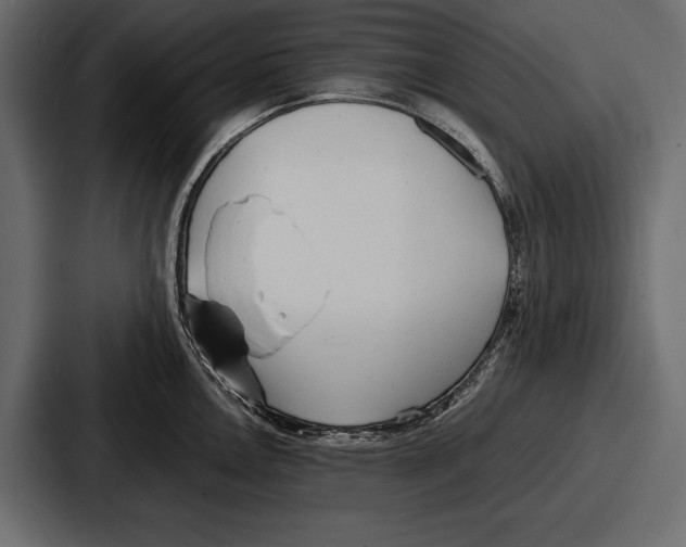 X0000086721146200705111550