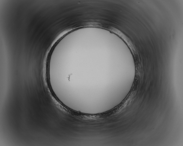 X0000086721147200705111550