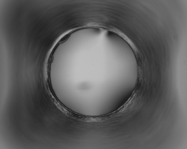 X0000086721148200705111550