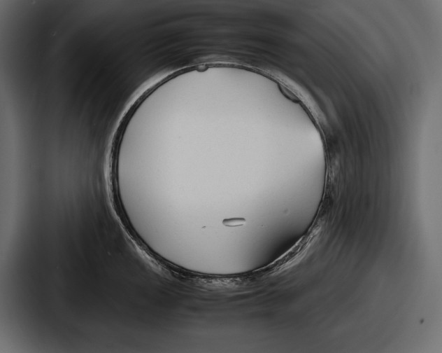 X0000086721149200705111550