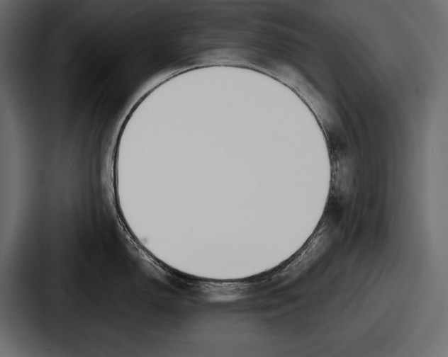 X0000086721150200705111550