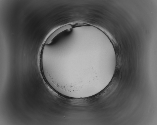 X0000086721151200705111550