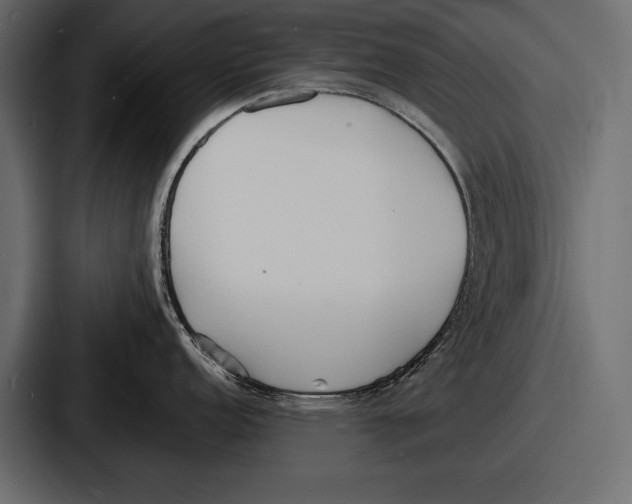 X0000086721152200705111550