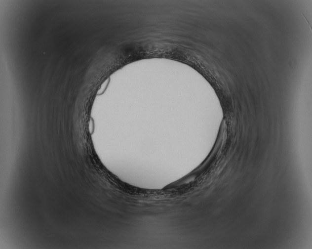 X0000086721153200705111549