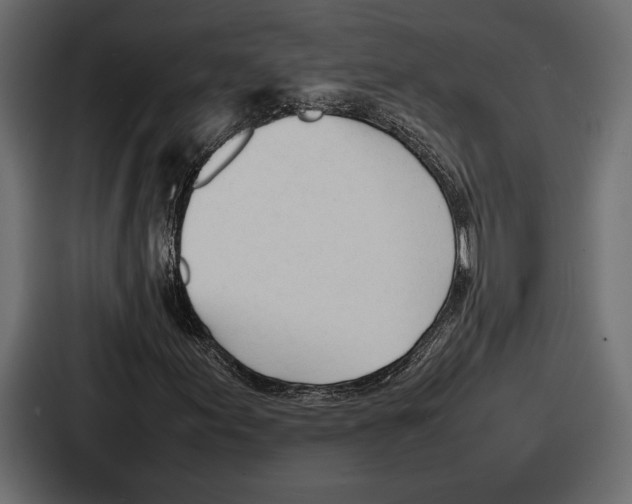 X0000086721155200705111549