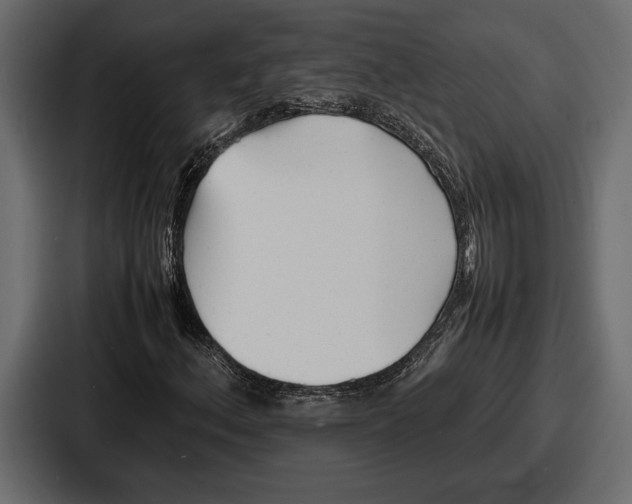 X0000086721156200705111549