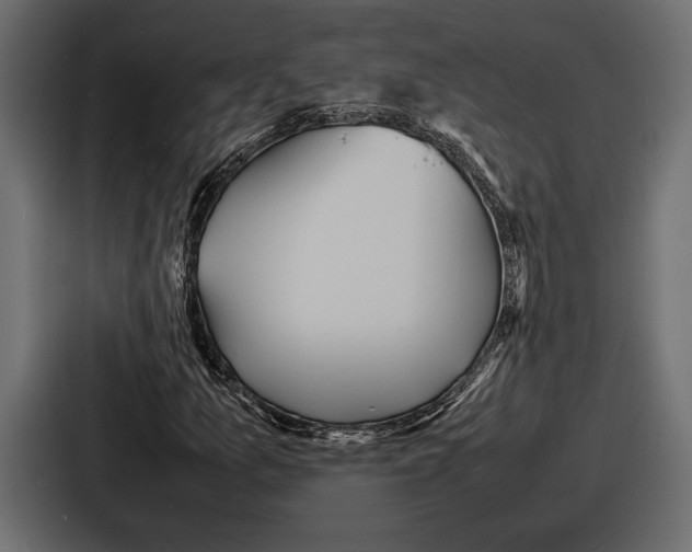 X0000086721157200705111549