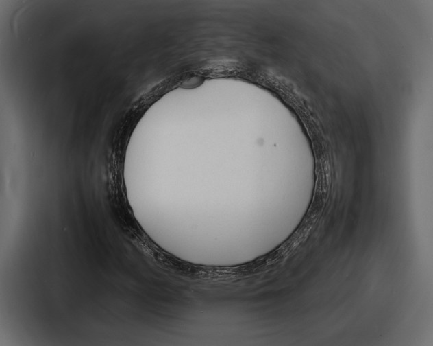 X0000086721158200705111549