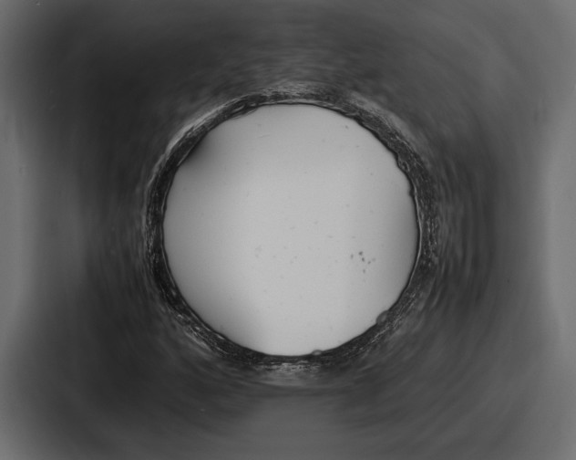 X0000086721160200705111549