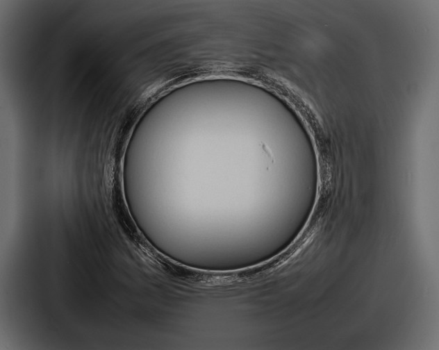 X0000086721161200705111549