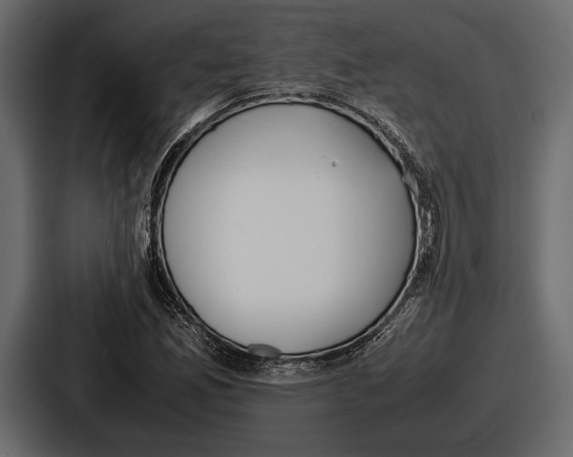 X0000086721165200705111549