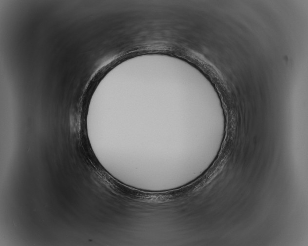 X0000086721166200705111549