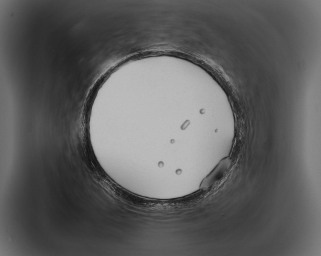 X0000086721167200705111549