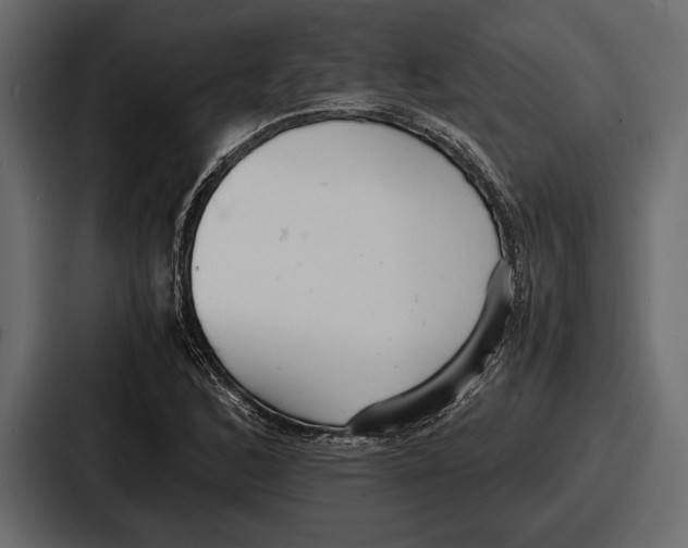 X0000086721168200705111549