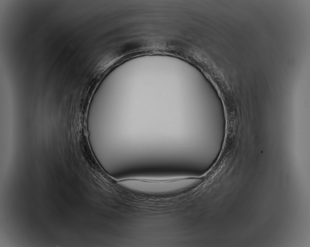 X0000086721169200705111549