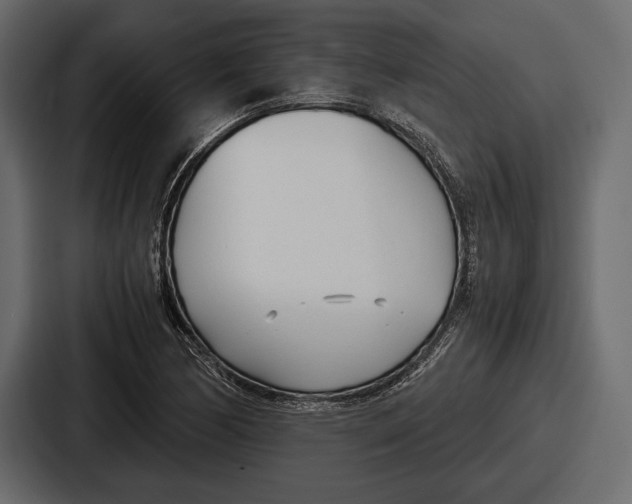 X0000086721170200705111549