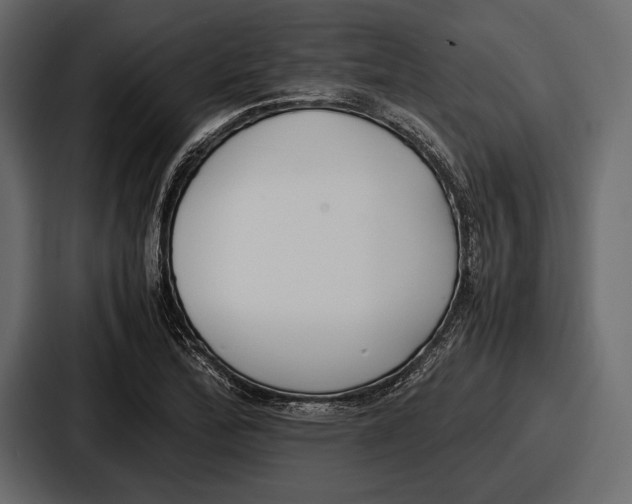 X0000086721172200705111549