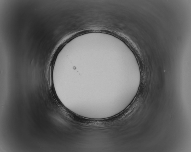 X0000086721175200705111549