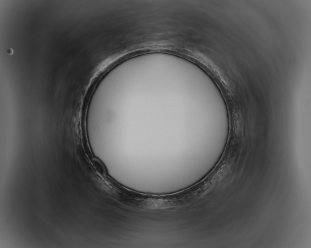 X0000086721176200705111549