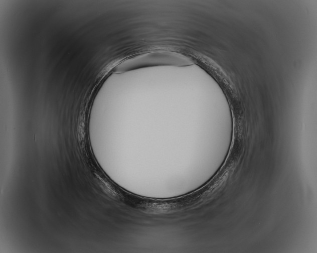 X0000086721177200705111549