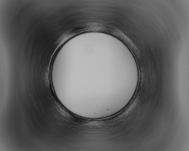 X0000086721178200705111549