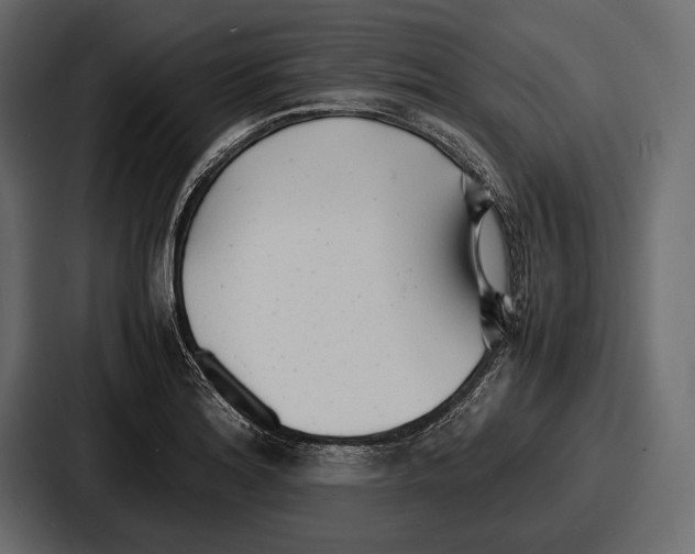 X0000086721180200705111549