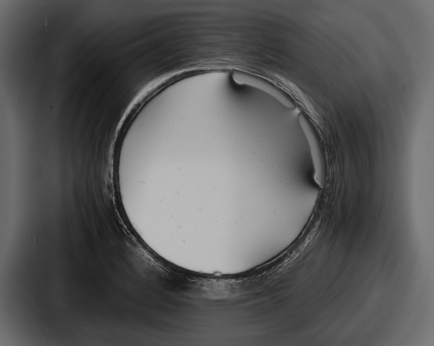 X0000086721184200705111549