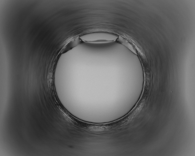 X0000086721185200705111549