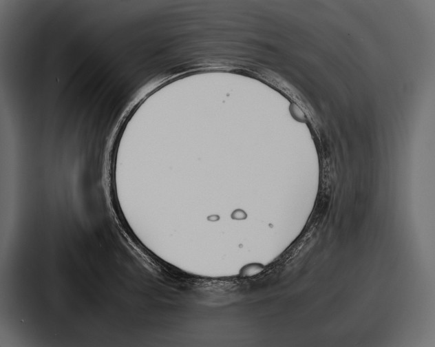 X0000086721187200705111549