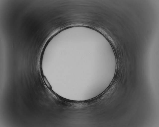 X0000086721189200705111549