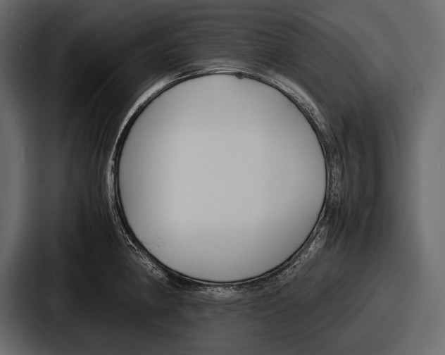 X0000086721190200705111549