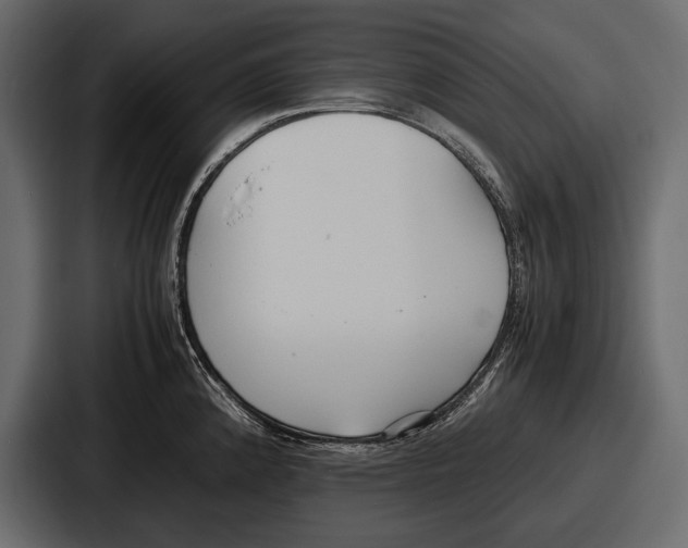 X0000086721192200705111549