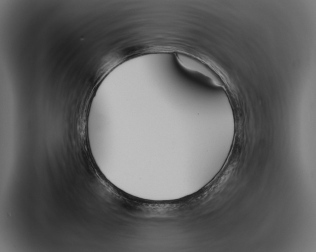 X0000086721193200705111549