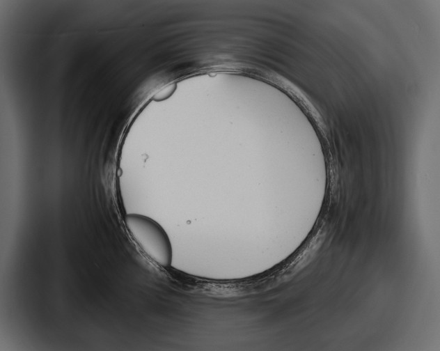 X0000086721194200705111549