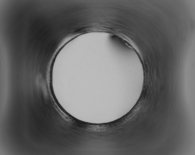 X0000086721195200705111549