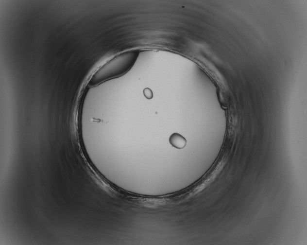 X0000086721196200705111549